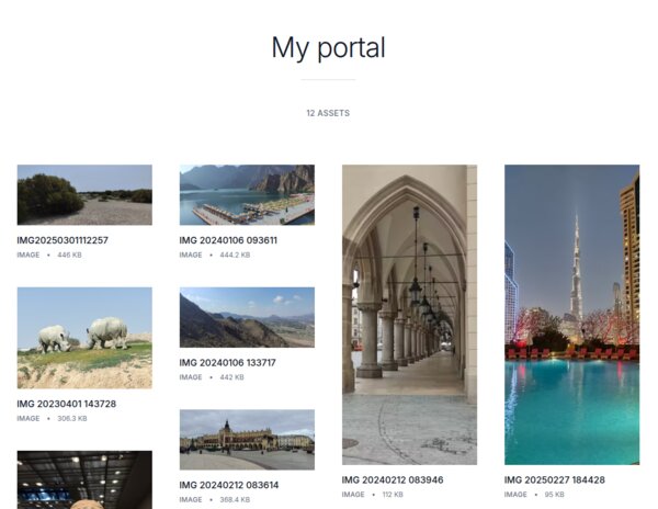 Professional portal presentation