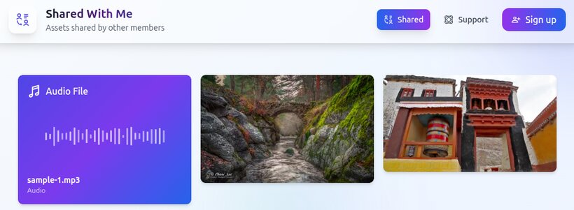 Recipient view showing clean interface with shared asset