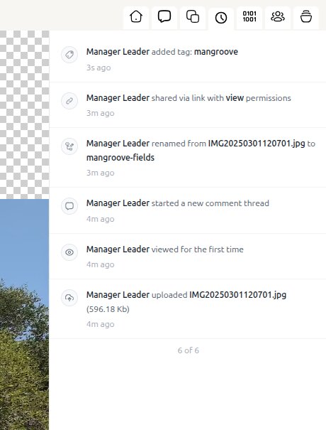 Complete history for every asset