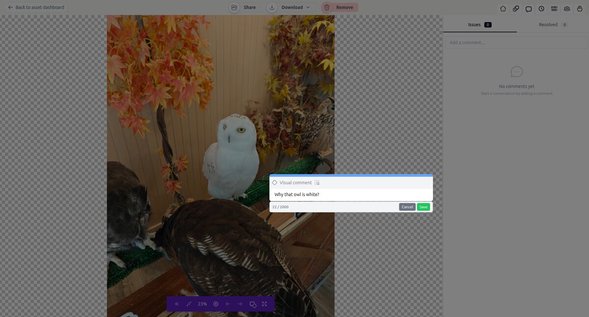 Creating visual comments on assets