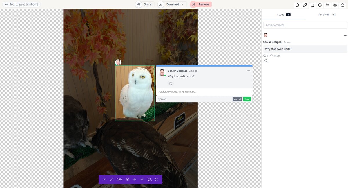 Viewing visual comments on assets